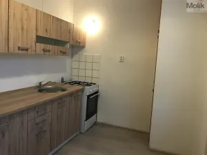 Pronájem bytu 2+1, Most, Zdeňka Štěpánka, 53 m2