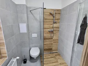 Pronájem bytu 2+1, Litvínov - Chudeřín, Chudeřínská, 47 m2