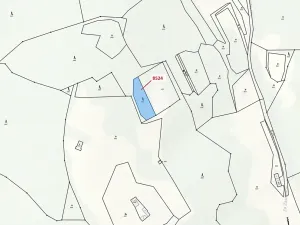 Dražba lesa, Vsetín, 939 m2