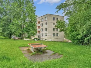 Prodej bytu 2+1, Světlá nad Sázavou, Na Bradle, 59 m2