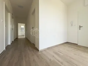 Pronájem bytu 3+kk, Brno - Ponava, Střední, 75 m2