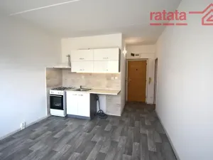 Pronájem bytu 1+1, Klášterec nad Ohří, Olšová, 40 m2
