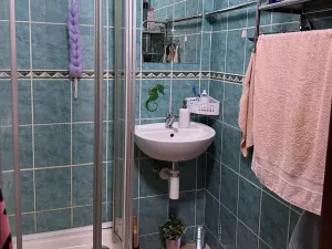 Prodej bytu 2+1, Ostrava, Mongolská, 54 m2
