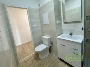 Pronájem bytu 2+1, Veselí nad Lužnicí, K Zastávce, 55 m2