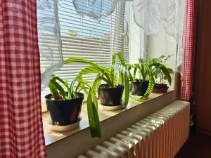 Prodej rodinného domu, Hrdlív, 130 m2