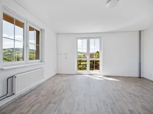 Prodej rodinného domu, Zádveřice-Raková, 395 m2