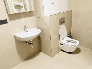 Pronájem bytu 1+kk, Plzeň, Pilařská, 40 m2