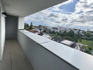 Pronájem bytu 1+kk, Plzeň, Pilařská, 40 m2