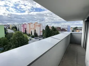 Pronájem bytu 1+kk, Plzeň, Pilařská, 40 m2