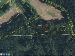 Prodej lesa, Bradlecká Lhota, 5202 m2