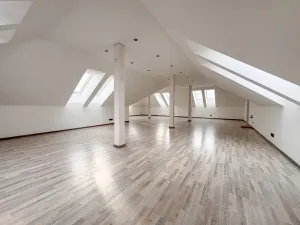 Prodej bytu 4+kk, Praha, 209 m2