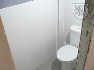 Prodej chalupy, Mladý Smolivec - Dožice, 375 m2
