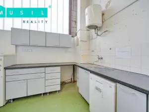 Pronájem komerční nemovitosti, Olomouc - Nové Sady, Werichova, 542 m2