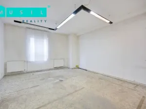 Pronájem komerční nemovitosti, Olomouc - Nové Sady, Werichova, 542 m2