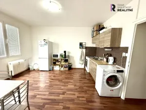 Pronájem bytu 1+1, Sokolov, Mánesova, 37 m2