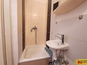 Pronájem bytu 1+1, Adamov, 19 m2
