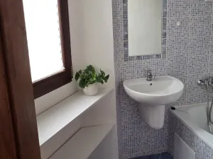 Pronájem bytu 1+1, Ústí nad Labem - Střekov, Žukovova, 49 m2