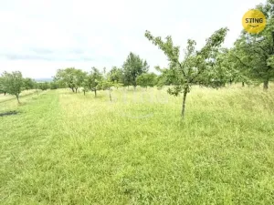 Prodej sadu/vinice, Strážnice, 4194 m2
