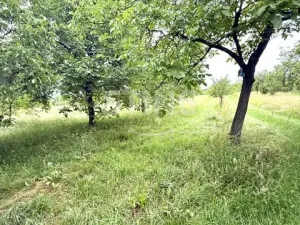 Prodej sadu/vinice, Strážnice, 4194 m2