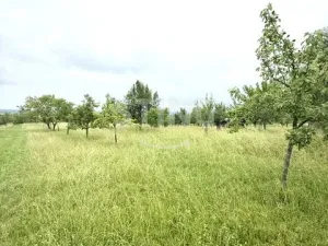 Prodej sadu/vinice, Strážnice, 4194 m2