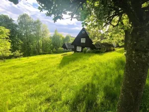 Prodej chalupy, Kounov, 267 m2