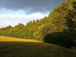 Prodej chalupy, Kounov, 267 m2