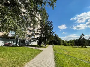 Pronájem bytu 1+1, Písek - Budějovické Předměstí, třída Přátelství, 40 m2