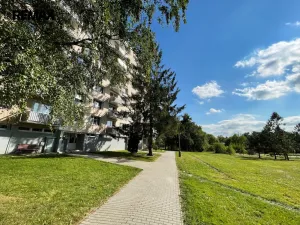 Pronájem bytu 1+1, Písek - Budějovické Předměstí, třída Přátelství, 40 m2