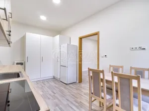 Pronájem bytu 1+1, Moravská Ostrava, Sokolská třída, 43 m2