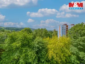 Prodej bytu 3+1, Sokolov, Slavíčkova, 66 m2
