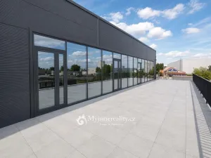 Pronájem kanceláře, Dyje, 270 m2
