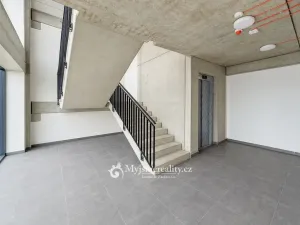 Pronájem kanceláře, Dyje, 270 m2