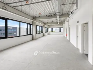 Pronájem kanceláře, Dyje, 270 m2