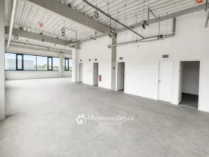 Pronájem kanceláře, Dyje, 270 m2