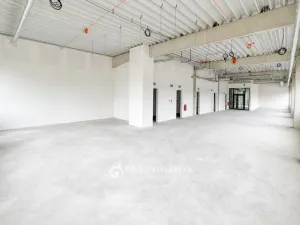 Pronájem kanceláře, Dyje, 270 m2