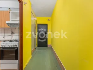 Prodej bytu 2+1, Holešov, Novosady, 63 m2