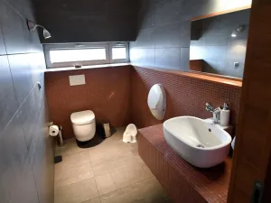 Prodej rodinného domu, Ostrava, Hájkovická, 325 m2
