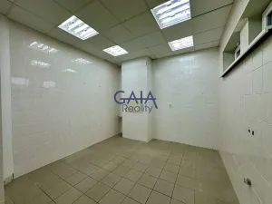 Pronájem obchodního prostoru, Kyjov, Kollárova, 226 m2