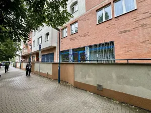Pronájem obchodního prostoru, Kyjov, Kollárova, 226 m2