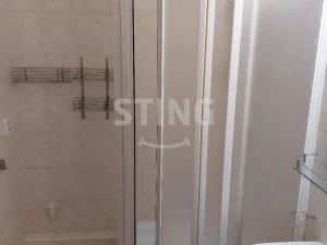 Pronájem bytu 1+1, Ostrava, Krestova, 41 m2