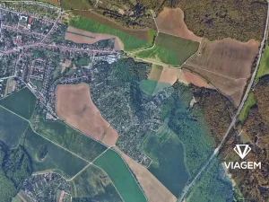 Prodej lesa, Brno, 976 m2