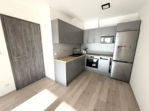 Pronájem bytu 2+kk, Brno, třída Generála Píky, 56 m2