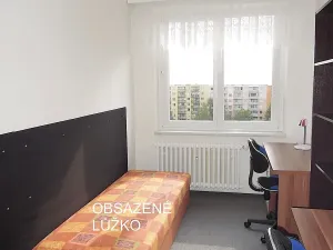 Pronájem bytu 2+kk, Brno, Běloruská, 50 m2