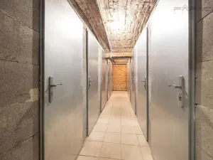 Prodej bytu 2+kk, Praha - Vinohrady, Italská, 62 m2