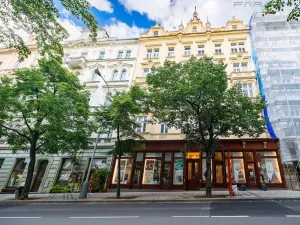 Prodej bytu 2+kk, Praha - Vinohrady, Italská, 62 m2
