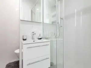 Pronájem bytu 1+1, Ostrava - Výškovice, Na Výspě, 38 m2