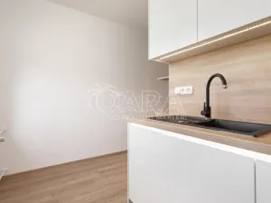 Pronájem bytu 1+1, Ostrava - Výškovice, Na Výspě, 38 m2