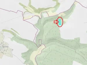 Prodej lesa, Řepín, 5226 m2