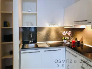 Pronájem bytu 2+kk, Praha - Josefov, Bílkova, 37 m2