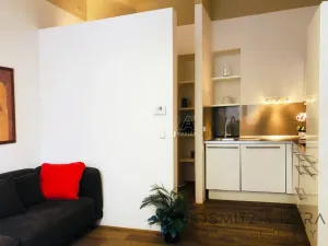 Pronájem bytu 2+kk, Praha - Josefov, Bílkova, 37 m2